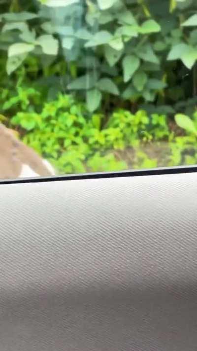 Nature scares me sometimes