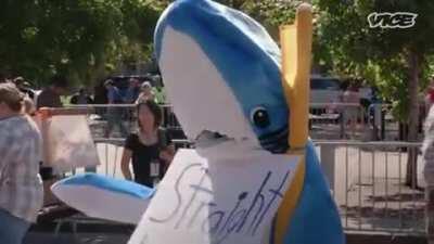 Lub you guys in here. Great idea. We do a little bit of trolling.