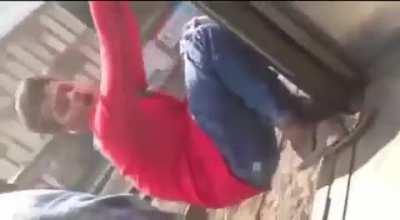 Apex predator's everyday meal