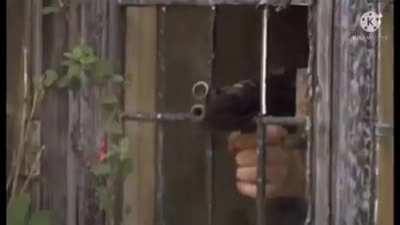 Blue archive lore, ctto