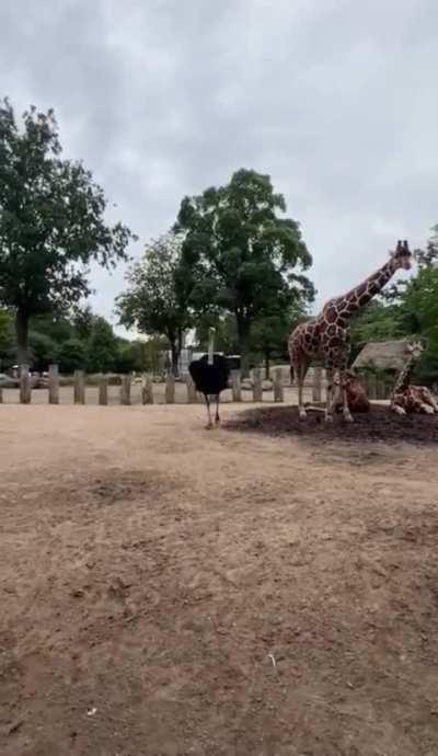 I’ve had the time of my life