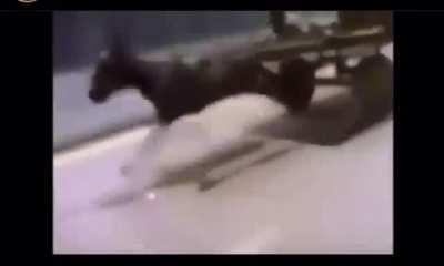 r/worldpolitics when they see tits