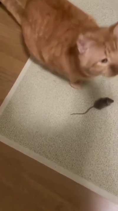 He got distracted from the real prize