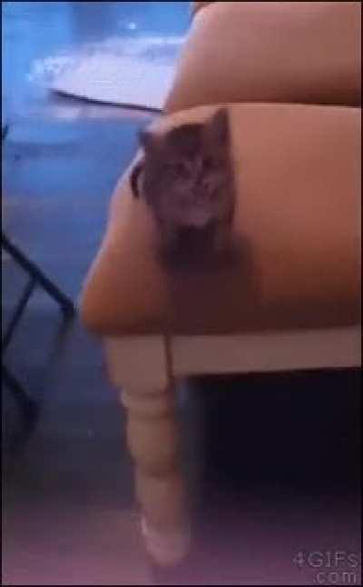 Little wobbly on the launch but otherwise excellent form