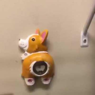 “you scared the corgi”