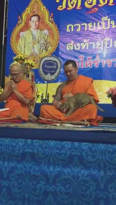 WatchPeopleReincarnateInside