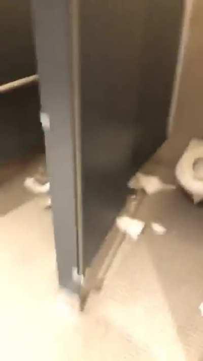 Average American school bathroom