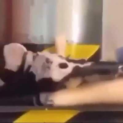 I cant think of a title