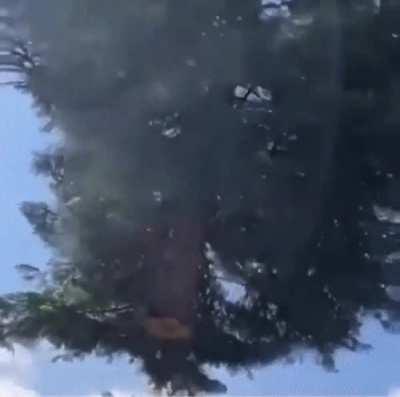 “Let go your earthly tether. Enter the void. Empty, and become wind.