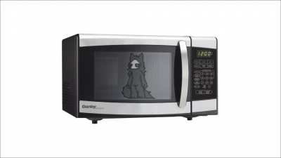 microwave_irl