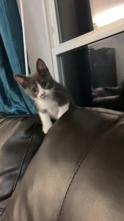 Boo’s scared of her reflection