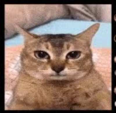 Skdeprozmkslahaijsjsah