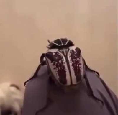 Не знаю зачем я сделал это видео...