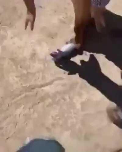 Да когда ж вы уже напьëтесь?!