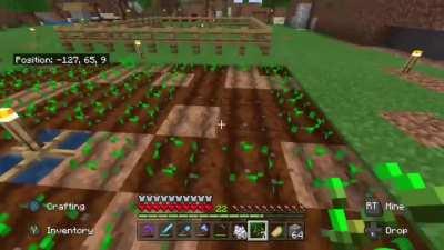 These pesky birds followed me until I had the perfect amount...