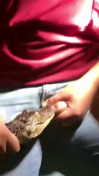 Let’s stick my balls in a gator’s mouth, WCGW?