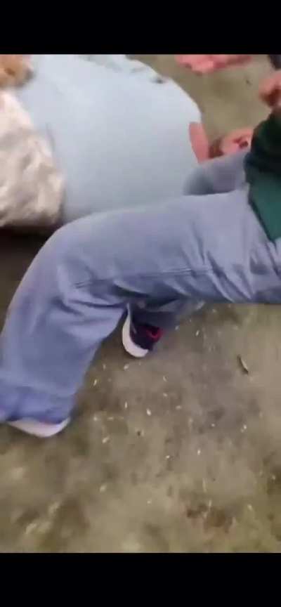 Indian Man Attacked by Tiger While Posing for Selfie at Zoo in Thailand