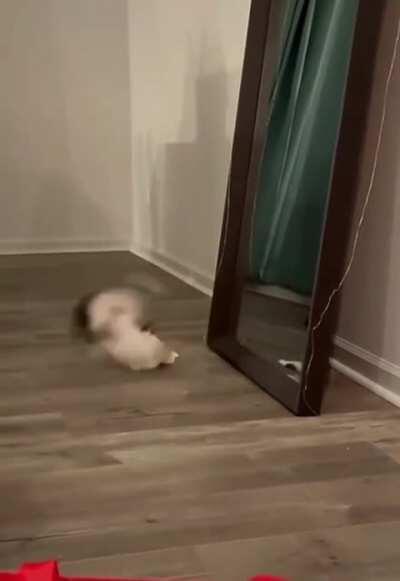 You want a piece of me huh come on let's go