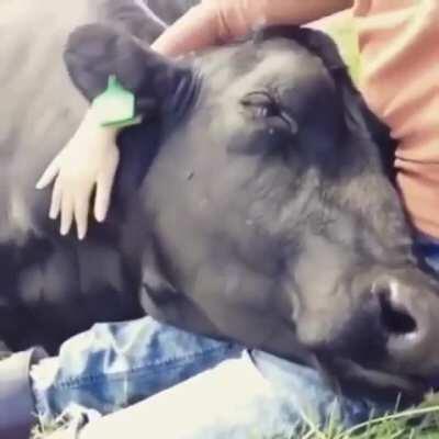 What a wonderful life..