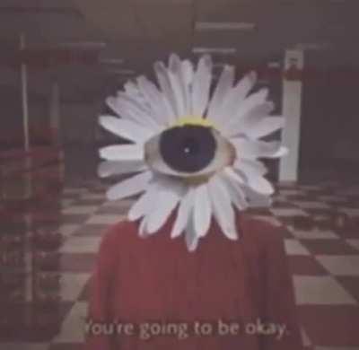 doodoofard - Video #6439