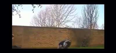 HMFT after I try and do a sick backflip to impress the boys