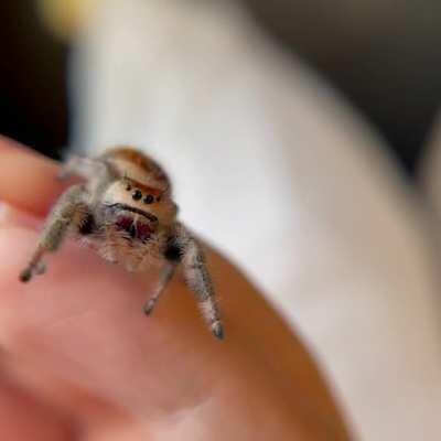 The most inquisitive little Matilda - she brings me so much joy ☀️