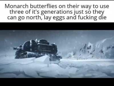 "Get going, time to earn your bread"