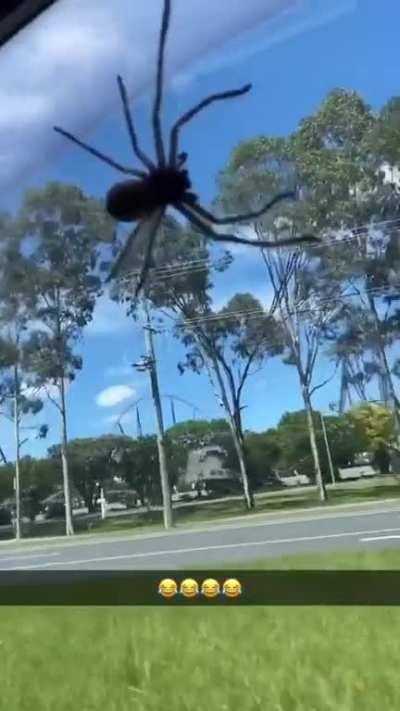 Just along for the ride