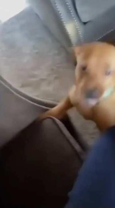 Have teeth. Must nibble.