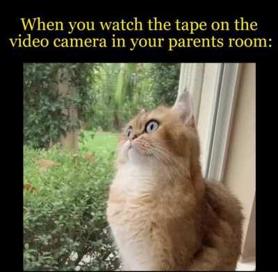 Time to leave the country