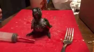 NATURE’S PROGRAMMING WORKS IN MYSTERIOUS WAYS. ITS NOT A BUG, ITS A FEATURE