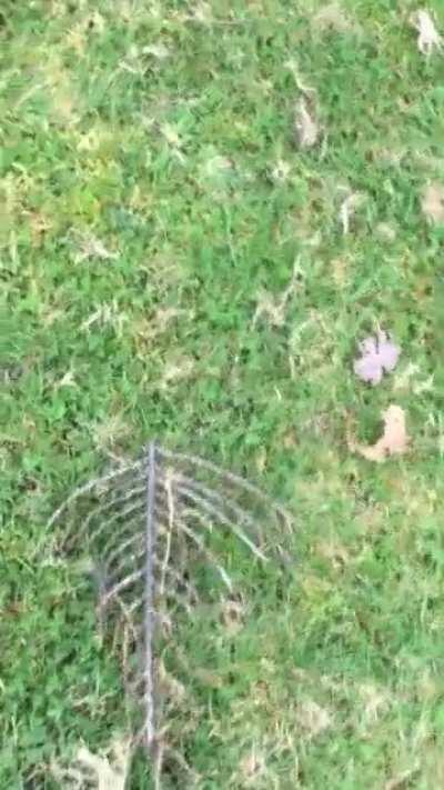 I went back.. and saved the world