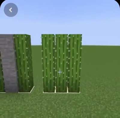 None of this should happen-