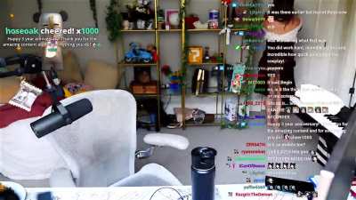 Panda 🐼 Peekaboo 🚨