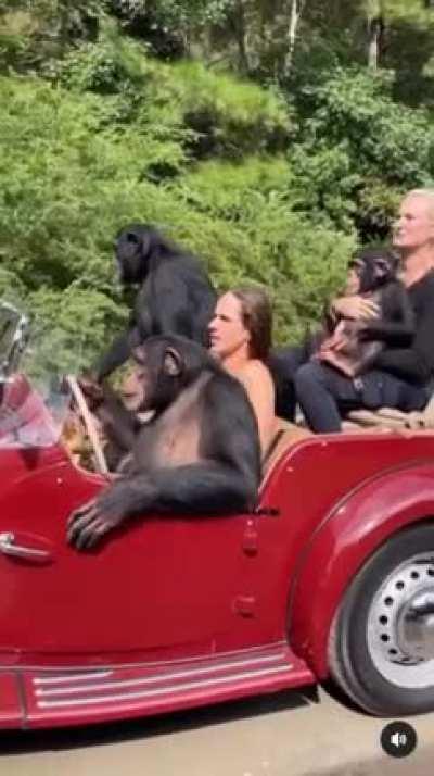 I DO NOT F*CKING APPROVE THIS... But shit! It looks so cool