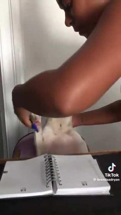 Polícia conclui reconstituição do caso do morto levado para pedir empréstimo 