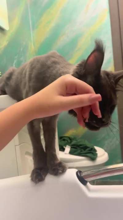 Every day he wakes up and chooses violence