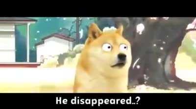 Funny Doge meme video