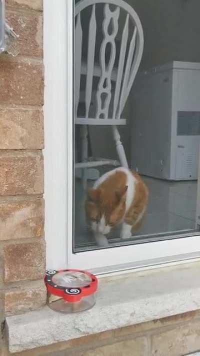 Arthur is making it known that we are outside without him