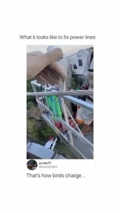 That's How Birds Charge.