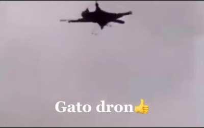 Ok Ok agora a ciência passou dos limites.