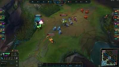 New Korean Teemo Cheese