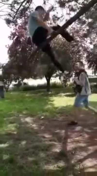 Consequences of riding a tree.