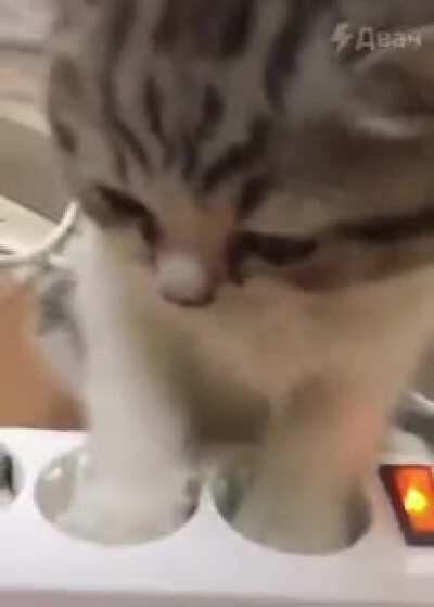 Kitty getting charged