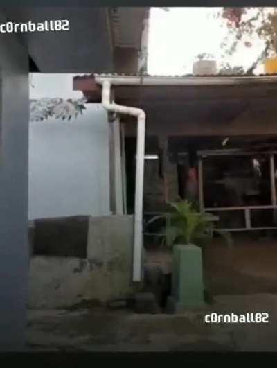 fashion show be like.💃