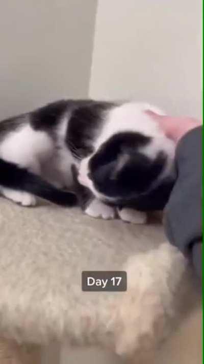 Day by day is a close friend