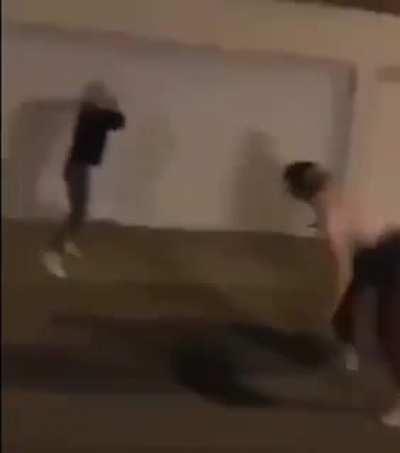 I think it takes a special level of tenacity (or intelligence) to keep approaching a swinging bat.