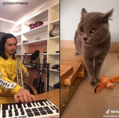 Vibe check for pre-market tomorrow - The Kiffness keepin these tiddies JACKED! 🚀🚀🚀