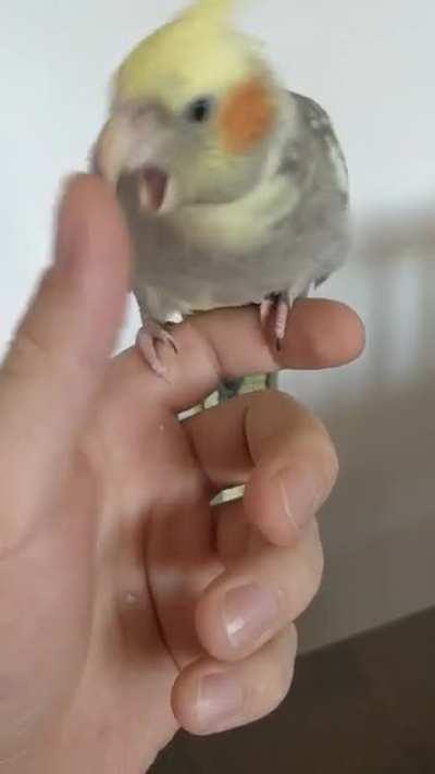 Ahsoka showing her two possible moods in 15s