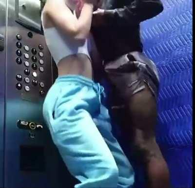 She was almost caught by her boyfriend while sucking BBC in elevator